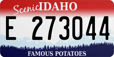 ID license plate E273044