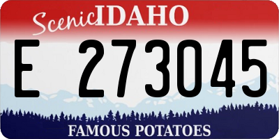 ID license plate E273045