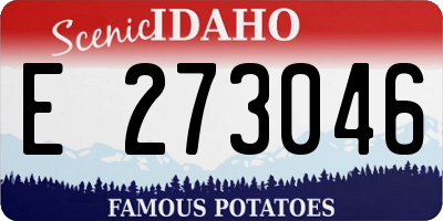 ID license plate E273046