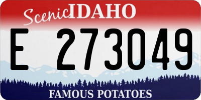 ID license plate E273049