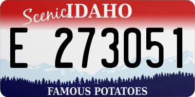 ID license plate E273051