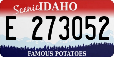 ID license plate E273052