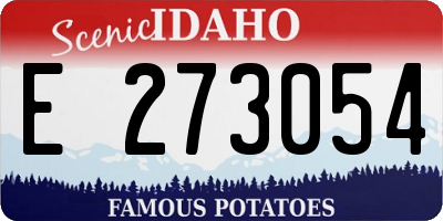 ID license plate E273054