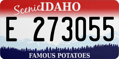 ID license plate E273055