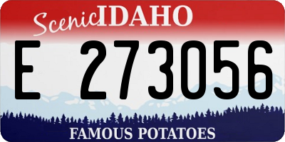 ID license plate E273056