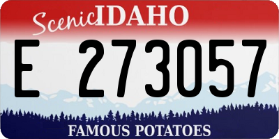 ID license plate E273057