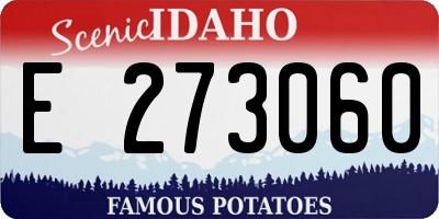 ID license plate E273060