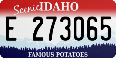 ID license plate E273065