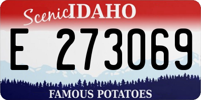 ID license plate E273069