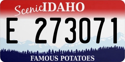 ID license plate E273071