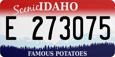 ID license plate E273075