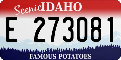 ID license plate E273081