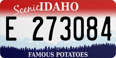 ID license plate E273084