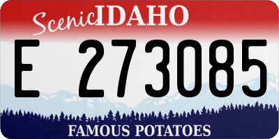 ID license plate E273085