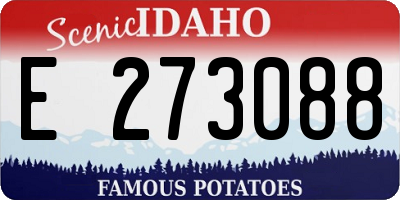 ID license plate E273088