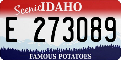 ID license plate E273089