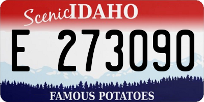 ID license plate E273090