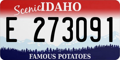 ID license plate E273091