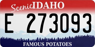 ID license plate E273093