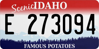 ID license plate E273094