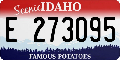 ID license plate E273095
