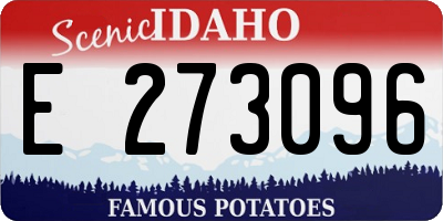 ID license plate E273096