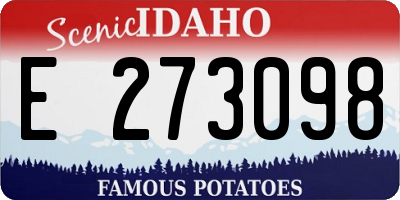ID license plate E273098