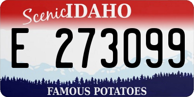 ID license plate E273099