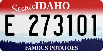 ID license plate E273101