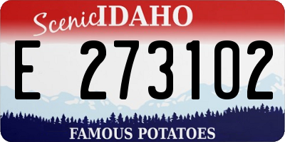 ID license plate E273102
