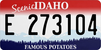 ID license plate E273104