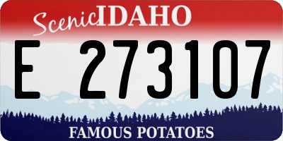 ID license plate E273107