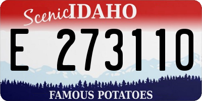 ID license plate E273110