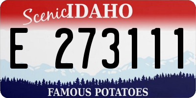 ID license plate E273111