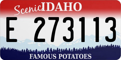 ID license plate E273113