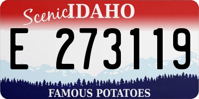 ID license plate E273119