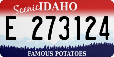 ID license plate E273124