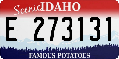 ID license plate E273131