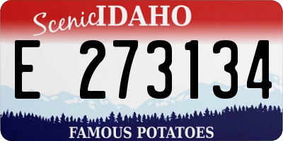 ID license plate E273134