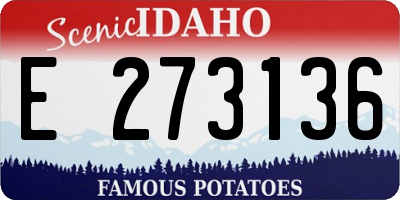 ID license plate E273136