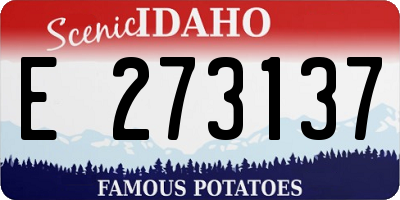 ID license plate E273137