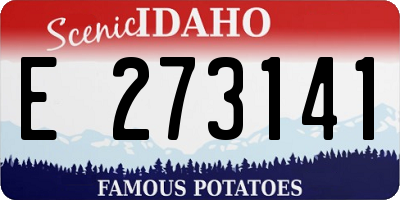 ID license plate E273141