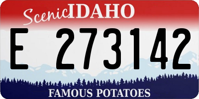 ID license plate E273142