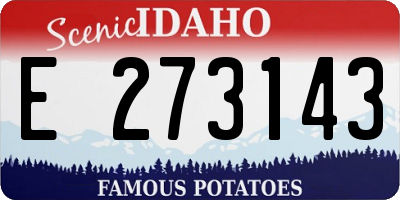 ID license plate E273143