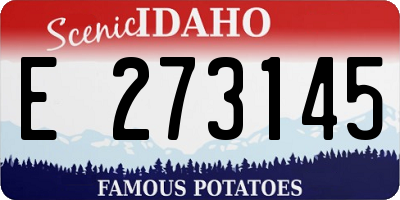 ID license plate E273145