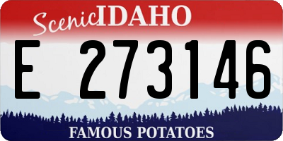 ID license plate E273146