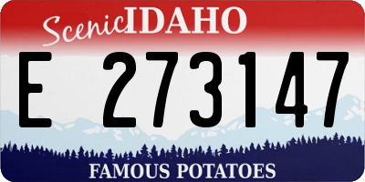 ID license plate E273147