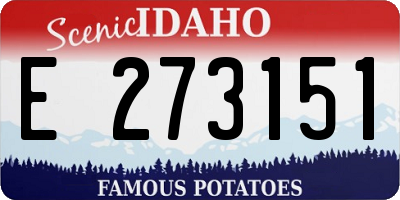 ID license plate E273151