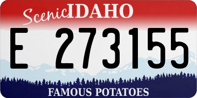 ID license plate E273155