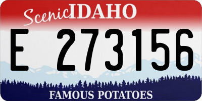 ID license plate E273156
